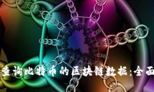 如何查询比特币的区块链数据：全面指南